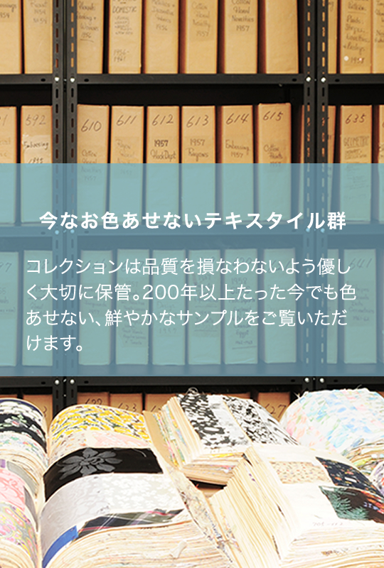株式会社ポーン | ヴィンテージコレクション